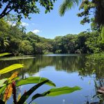 horto florestal em são paulo