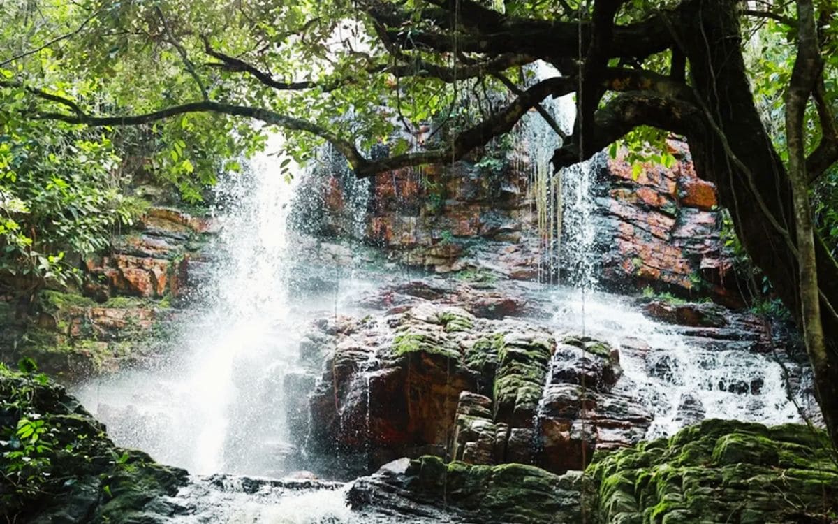cachoeira no parque nacional da serra de itabaiana