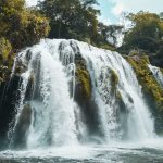 eco parque jacaré