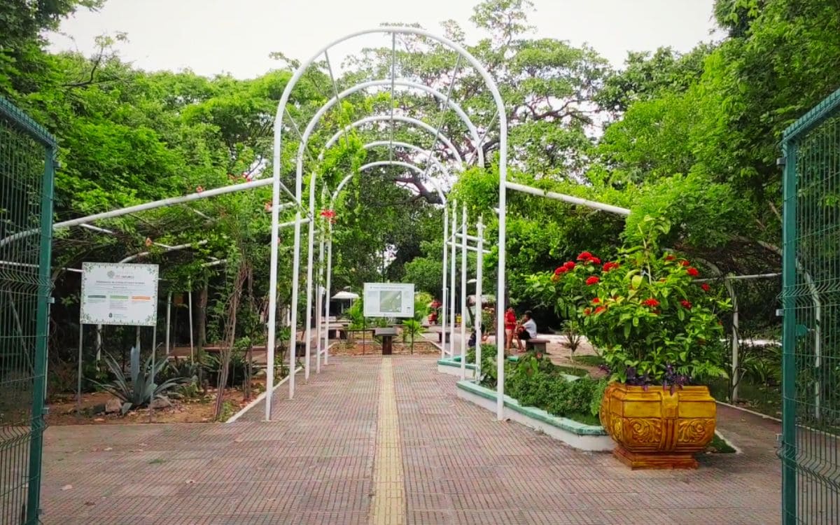 parque botânico do ceará