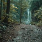 parque estadual serra do mar caraguatuba