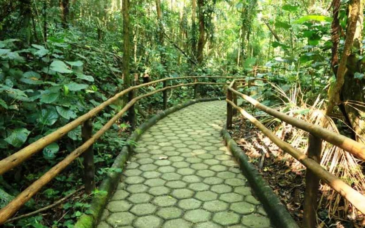 parque estadual serra do mar caraguatauba trilhas