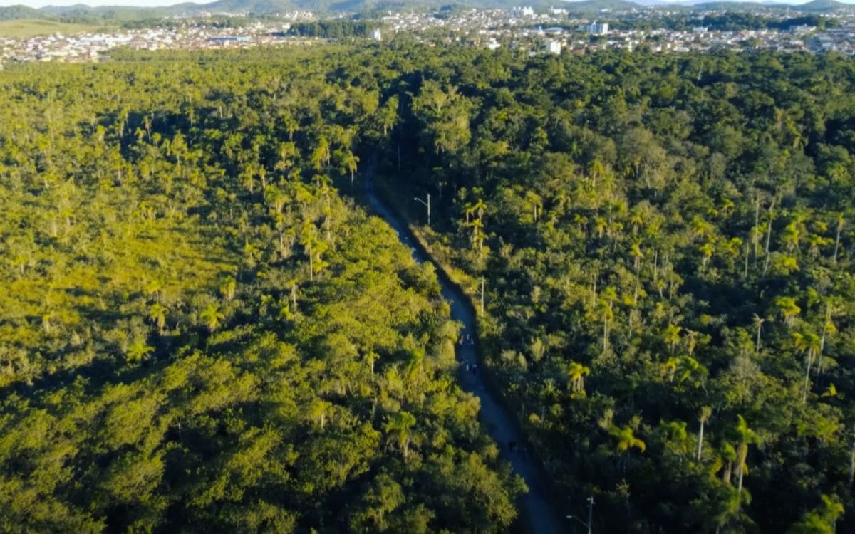 parque caiera joinville