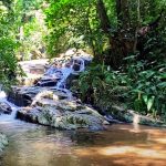 parque estadual da pedra branca