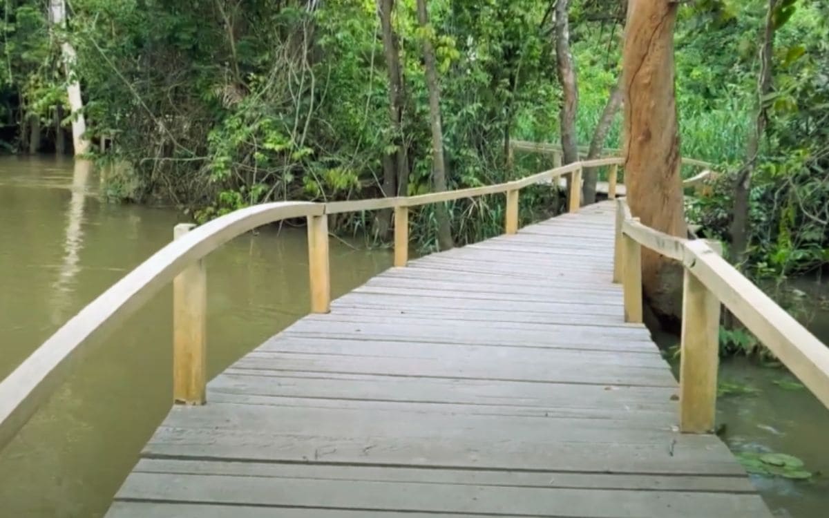 trilhas no parque ambiental de paragominas