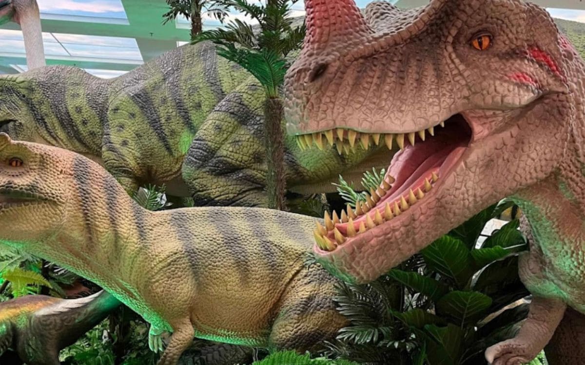 dinossauros t-rex park