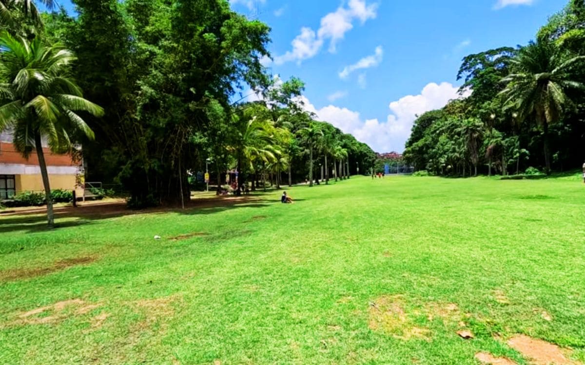 o que fazer no parque da cidade joventino silva