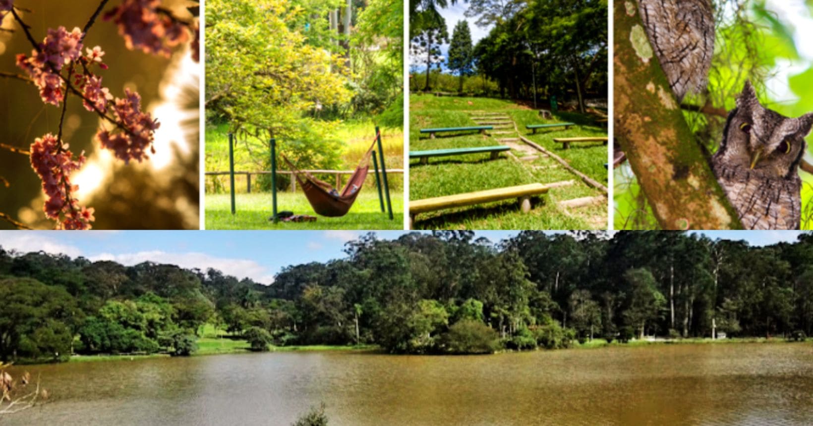 parque do carmo olavo egydio setúbal