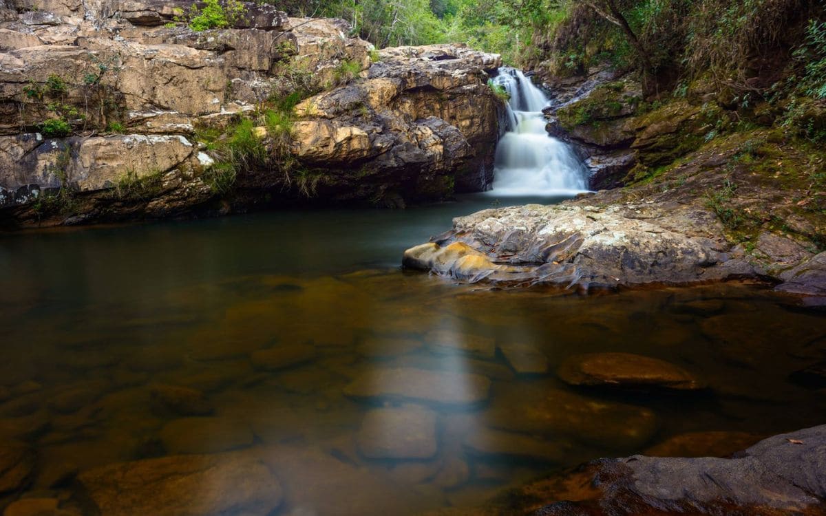 parque estadual mata do limoeiro