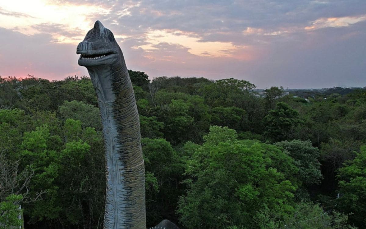 parque rocha moutonnée