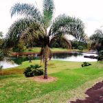 jardim botânico de londrina