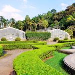 jardim botânico de são paulo