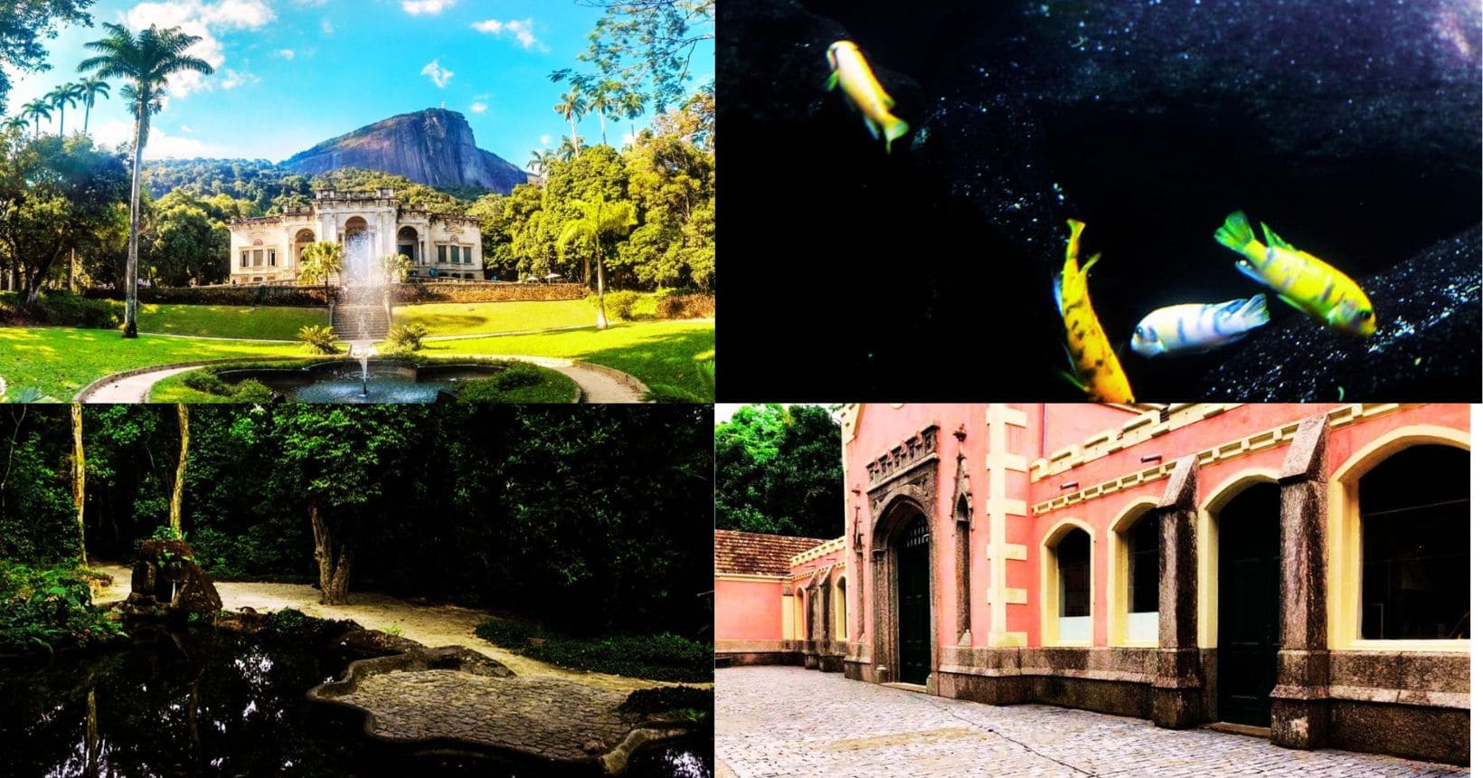 parque lage rio de janeiro