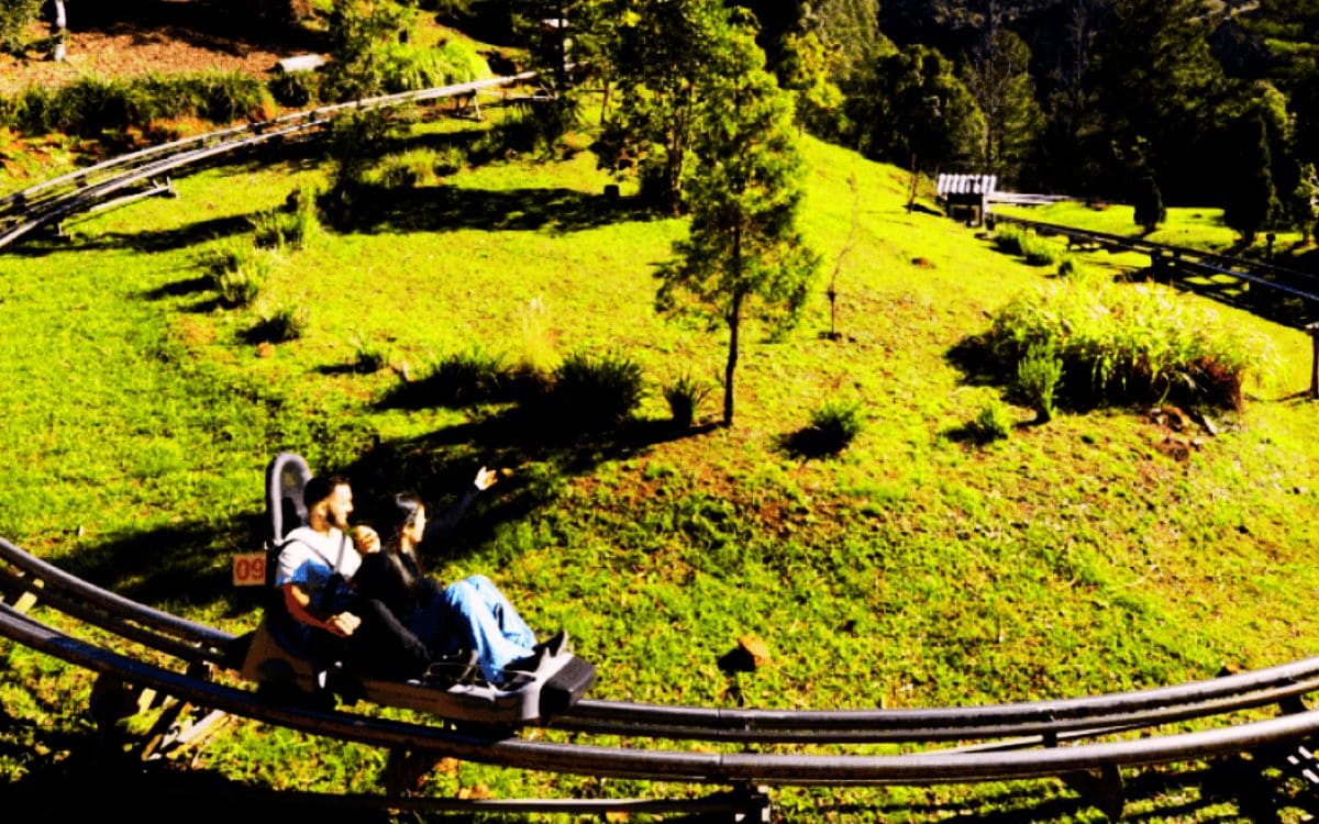 melhores atrações alpen park: trenó alpino