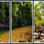 trilha em santa catarina entre as melhores da américa do sul