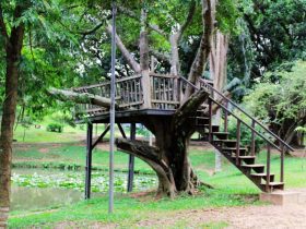 Parque Palhaço Estremilique