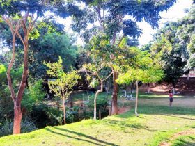 Parque das Amendoeiras