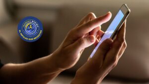 Ingreso Mínimo Garantizado consulta por cédula